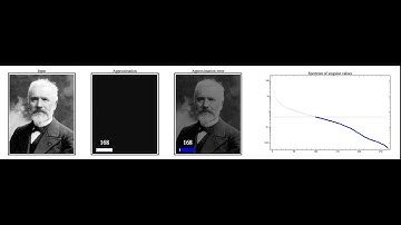 Low rank approximation using the least dominant singular values