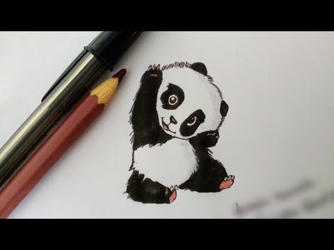 Urso panda desenho realista