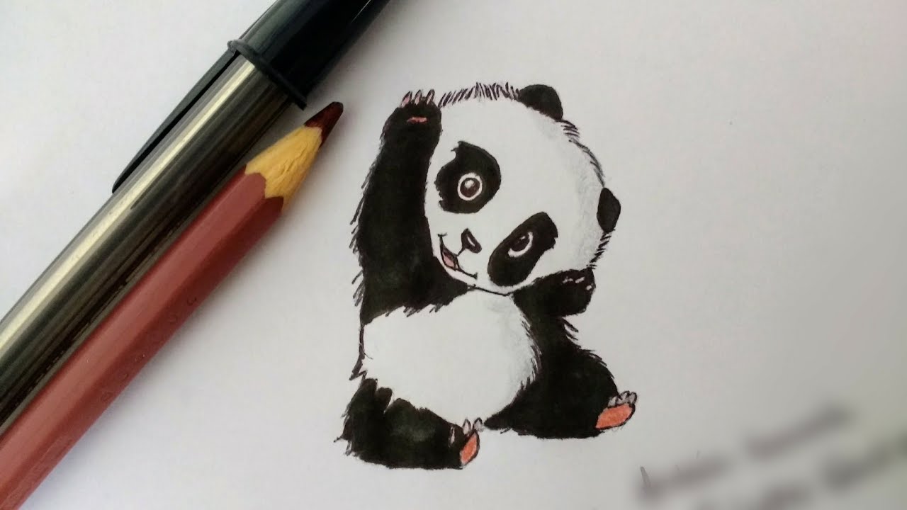 Como desenhar um panda