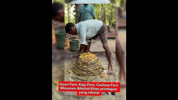 Thumbnail of Pembuatan minuman alkohol dari buah jambu mete #food  #shorts
