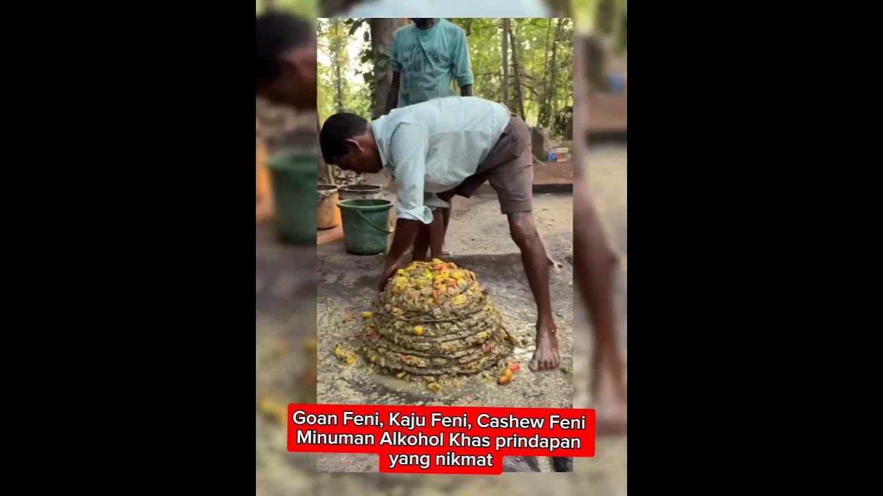 Pembuatan minuman alkohol dari buah jambu mete #food  #shorts