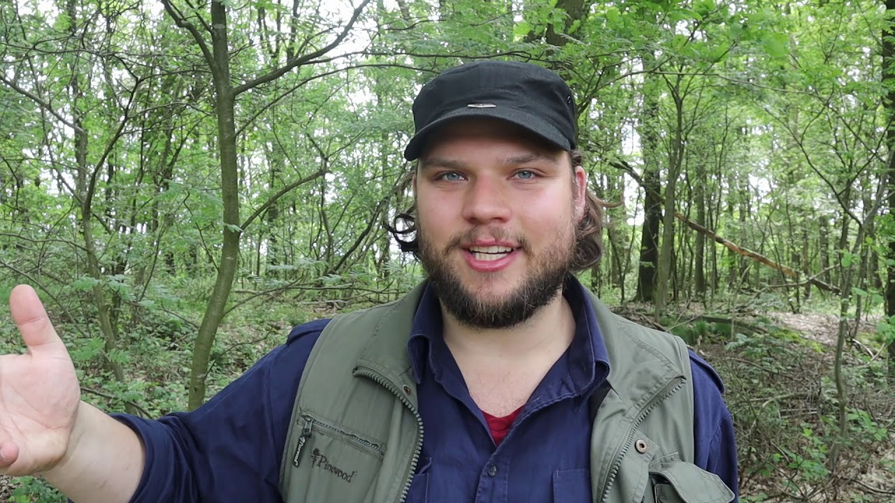 Ist bushcraft legal möglich ?