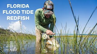 Redfish and Sea Trout in St. Augustine, Florida | Lost & Wandering Vol. 2