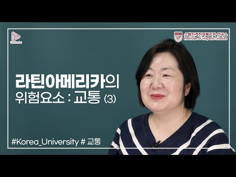 라틴아메리카의 위험요소: 교통_김희순 교수 (3)