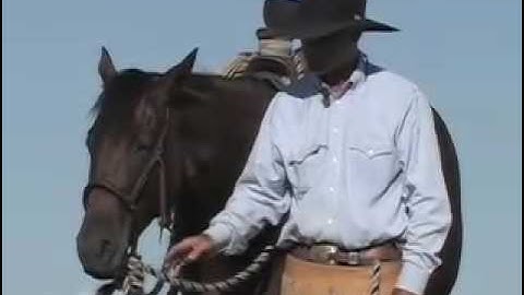 Martin Black - The Hackamore