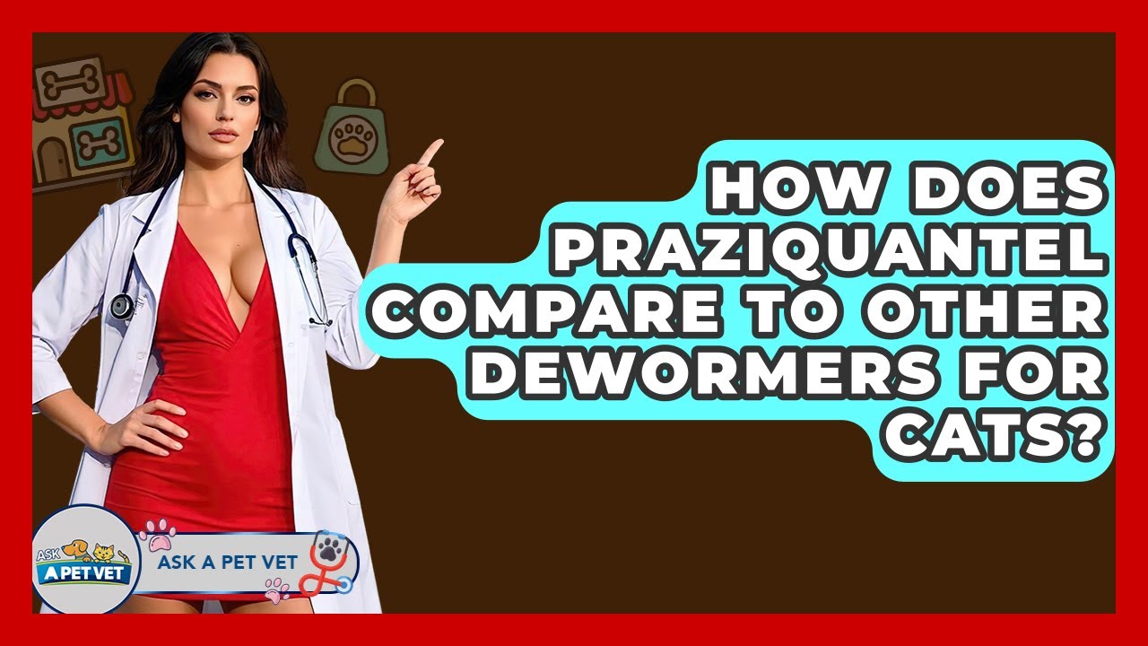 How Does Praziquantel Compare To Other Dewormers For Cats? - Ask A Pet Vet