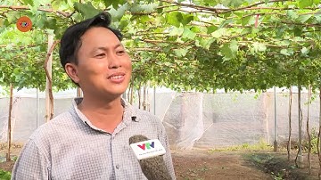 Thúc đẩy phát triển nông nghiệp công nghệ cao vùng khô hạn | VTV5