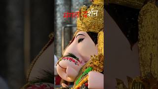 🌺🏵️श्रीमंत दगडूशेठ बाप्पांची दर्शन 🌺#dagdushethganpati #ganesh #ganapati #bappa #bhaktisong #bhakti