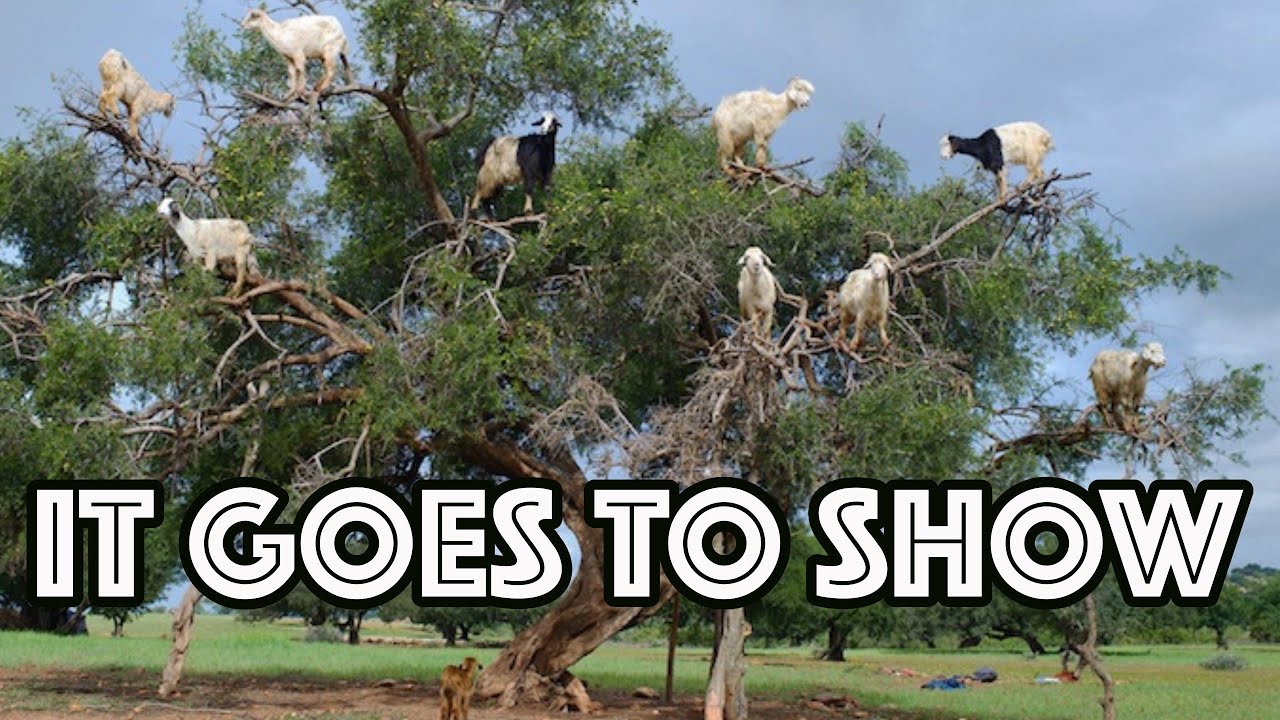 It Goes To Show Music Video