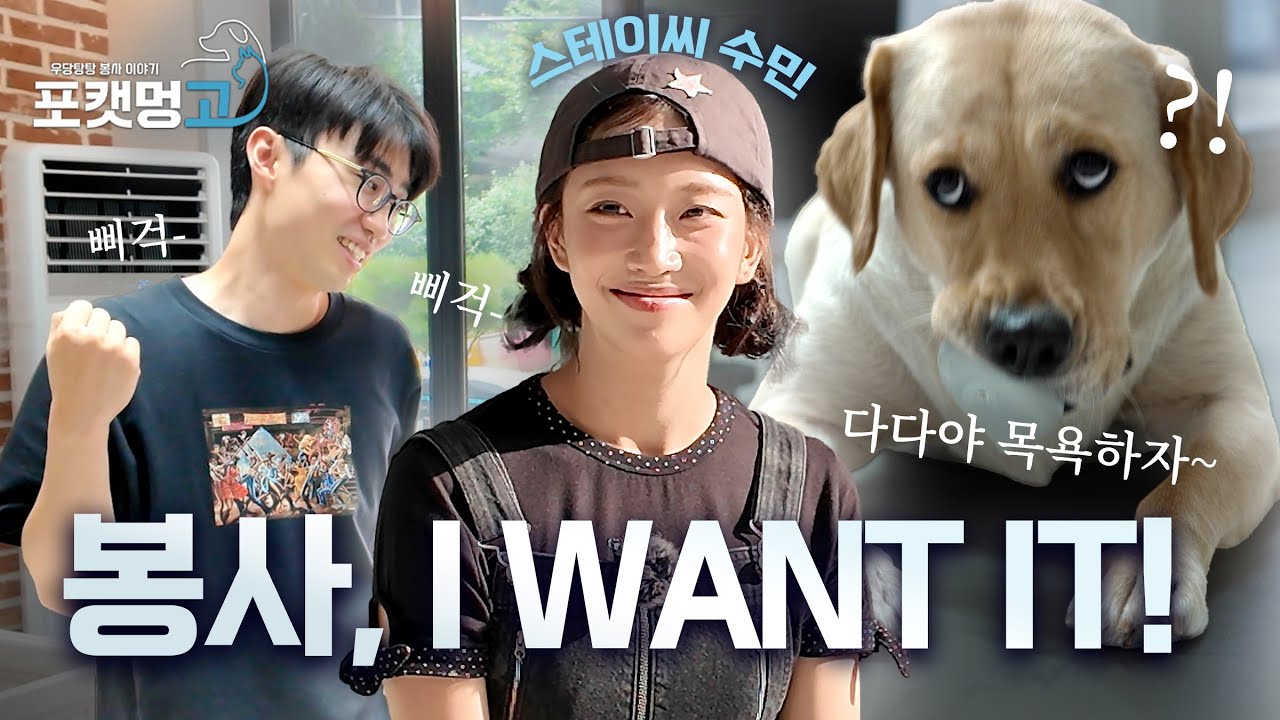 [EP.8] 포캣멍GO ❤️ 강태와 스테이씨 수민과의 만남!