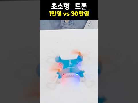 10,000원 vs 300,000원 '초소형' 드론의 차이는?!