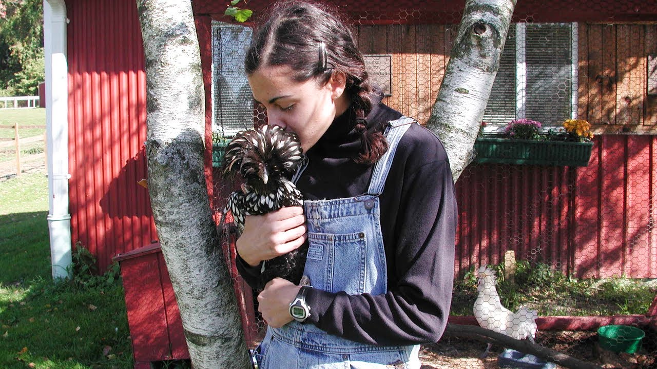 Navigate Your Next Step in the Field of Human-Animal Interaction at