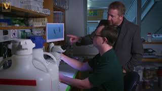 Unraveling genetic mystery next step in Zika and dengue fight