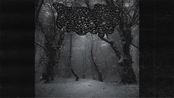 schneeman begraben album trailer