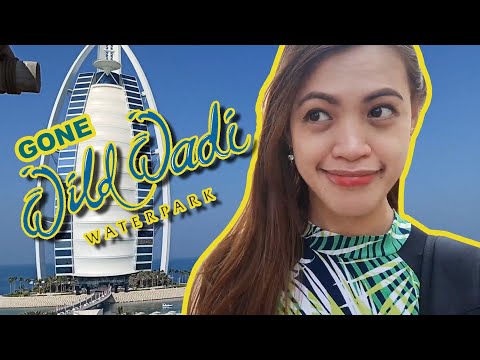 Gone Wild in WILD WADI WATERPARK! | Danabol in Dubai