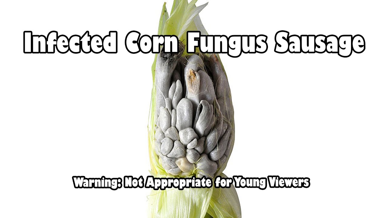 Cuitlacoche Corn Fungus Sausage (Not Suitable for Children)