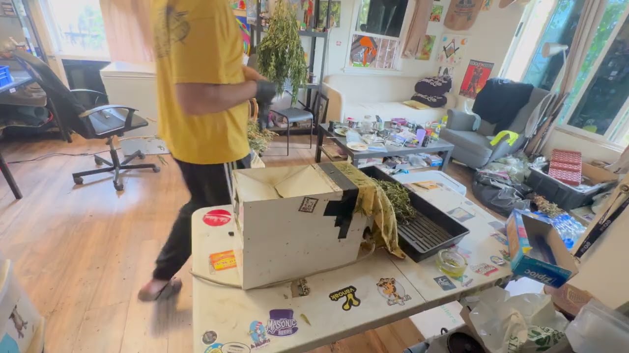 A day in the life of a seed breeder | POV | October