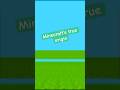 The history of Classic Minecraft... #shorts
