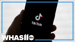TikTok restored to App Store and Google Play