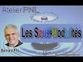 Pnl les sousmodalits par bernard frit atelier pnl 132022