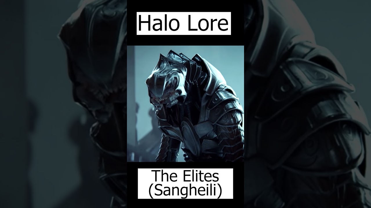 Elites Explained | Sangheili - Halo Lore