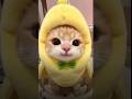 cute cat😺#cat #cute #fypage #cutecat #kucinglucu #kucing #edit