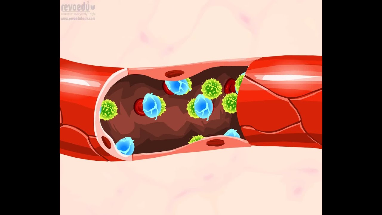The pH of blood (English)-