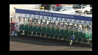 2021 05 08 沙田 第八場 黃皓楠 雙天至尊