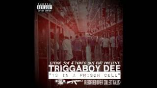 Trigga Boy Dee - 13 In A Prison Cell [Official Audio]