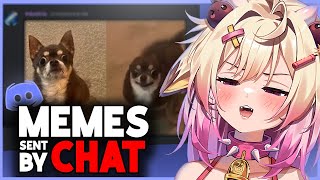 картинка: Rosiebellmoo реагирует на отправленные в ЧАТ МЕМЫ!