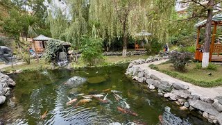 видео: ОТДЫХ В БАТУМИ. ОТЕЛЬ КАК В ТУРЦИИ. ALL INCLUSIVE ОТСУТСТВУЕТ картинка: ОТДЫХ В БАТУМИ. ОТЕЛЬ КАК В ТУРЦИИ. ALL INCLUSIVE ОТСУТСТВУЕТ