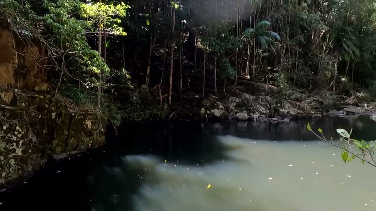 Branch Creek circuit pt 4  Bellthorpe National Park