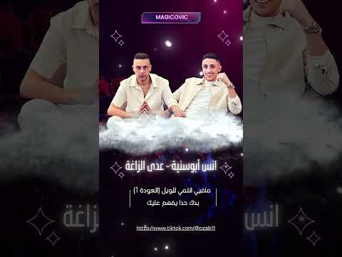 انس ابو سنينة و عدي زاغة مافيي انتمي للويل العودة 1
