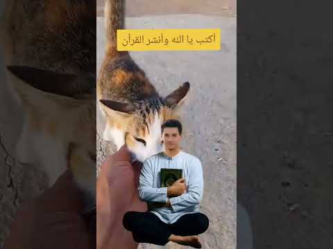 لا يتجاهل اسم الله ألا المنافقين أكتب يا الله وأنشر القرأن قرآن الله اكسبلور 