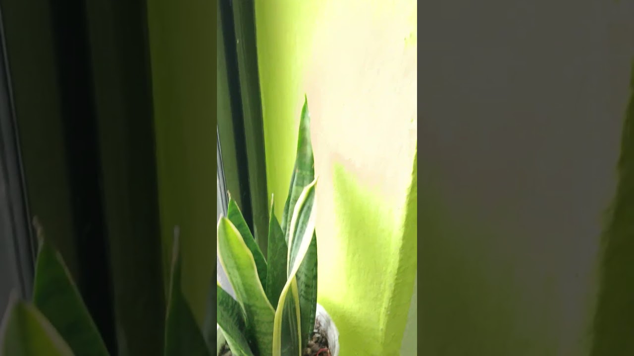 Home is not a place, it's a feeling. # artgall 