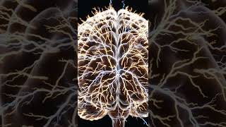 Esto es lo que hace tu cerebro sin que lo sepas #increíble #neurociencia