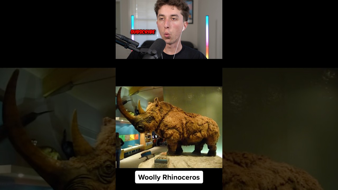 animals coming back 🤯😱