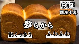 【夢ちから食パン】超強力粉の国産小麦の使い勝手を検証「正に夢のような力強さ！」