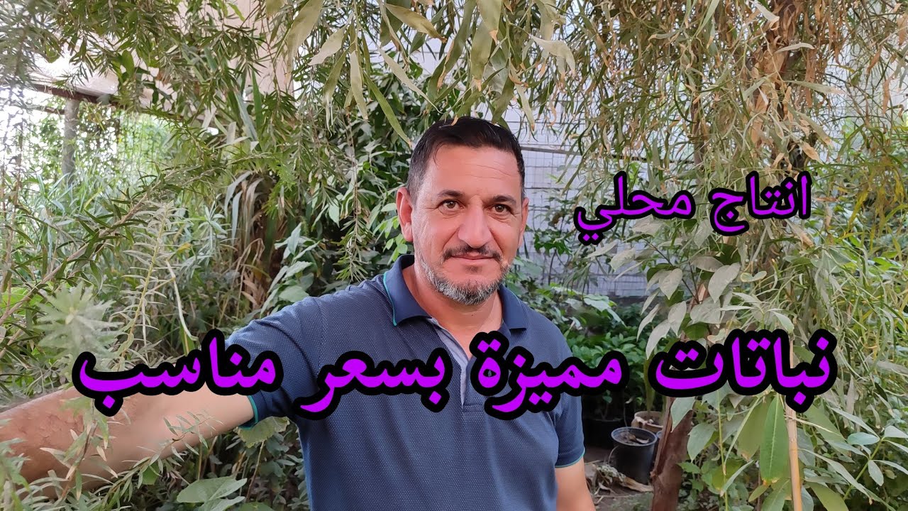 مشتل علاء الطائي صغير المساحة لكن تنوع يبهر وانتاج نباتات محليا والبيع جملة ومفرد العراق 🇮🇶 بابل