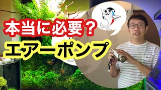 【エアーポンプは不要?】水槽にエアーポンプが必要な理由を解説