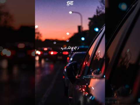 وايه هافتكرك بيه مسلم