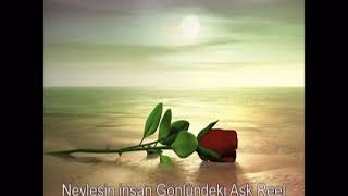 Ayrılamam Sana Kıyamam İbrahim Erkal Whatsap Durumu