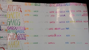 dna code nr2.the most typical Repeats on E.coli,lactose Operone. GCTG.GCG.GGCG.GGTG.GTG.GATG.GCA.GCC