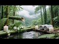 Relaxing Spa Music 🌼 Peace of Mind, Anxiety Relief & Calm,Spa 2