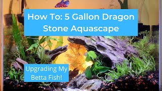 5 Gallon Dragon Stone Aquascape Tutorial (Upgrading My Betta Fish!)