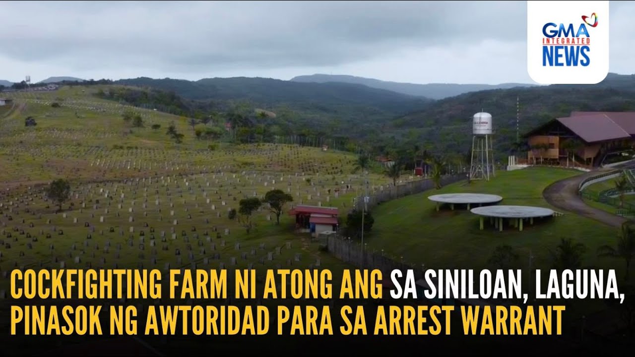 Cockfighting farm ni Atong Ang sa Siniloan, Laguna, pinasok ng awtoridad... | GMA Integrated News