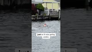 Man Rescues Baby Deer From Drowning! 😱
