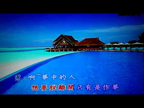 夢中情網--秀蘭瑪雅/施文彬~~張曉柔/快樂老宅  翻唱