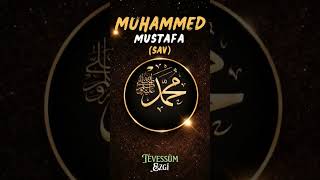 Salavat | Tevessüm Ezgi