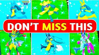 The Ultimate Riolu Hatch Day Survival Guide for Maximum Shinies